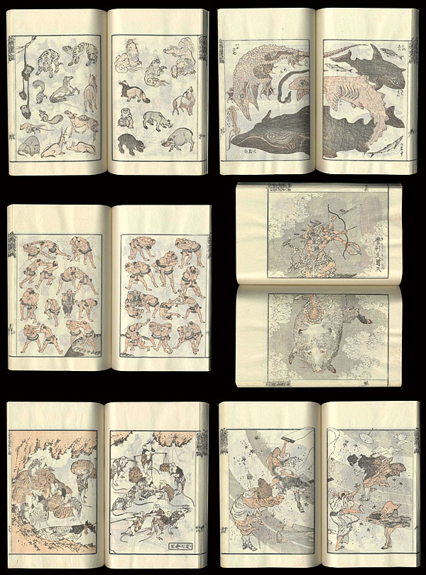 葛飾北斎漫書 全15冊 解説書1冊 本 参考書 guide-ecoles.be