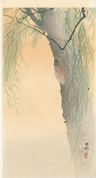 Ohara Koson(Shoson) “Cicada on a Willow Tree (tentative title)”／