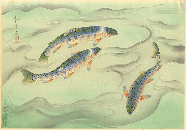 Ono Bakufu “Great Japanese Fish Picture Collection / The Nijimasu (Rainbow-Trout)”／