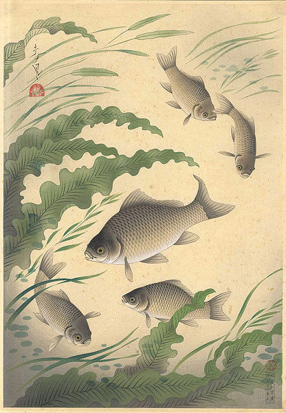 Ono Bakufu “Great Japanese Fish Picture Collection / The Funa (Crucian)”／