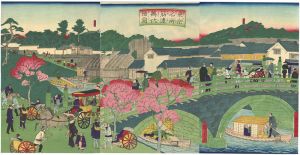 Hiroshige III/[東京名所　筋違萬代橋図]