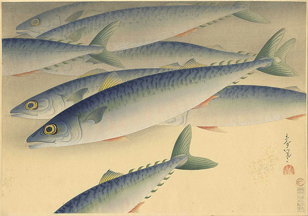 Ono Bakufu “Great Japanese Fish Picture Collection / The Saba (Mackerel)”／