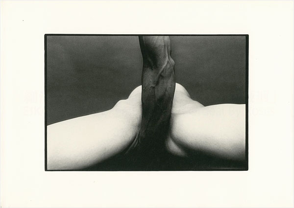 “EIKOH HOSOE：Embrace and Ordeal By Rose” ／