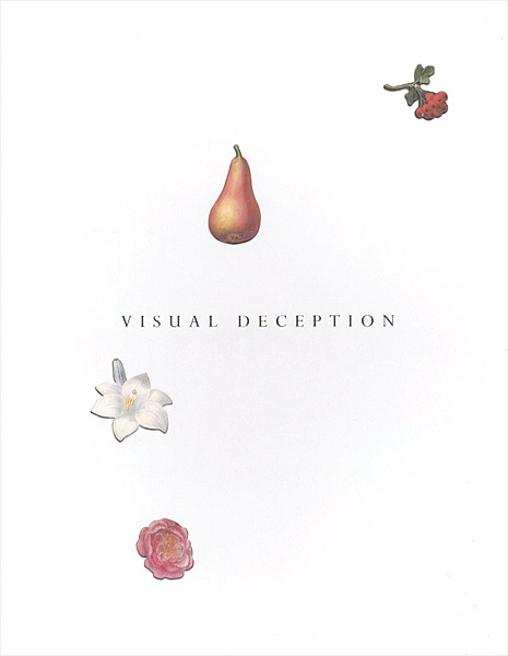 “VISUAL DECEPTION” ／