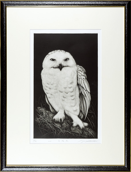 Ikuta Koji “White Owl”／