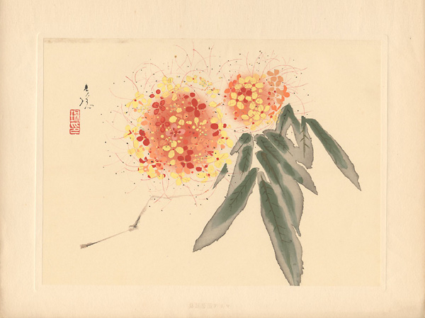 Ishizaki Koyo “from New Flowers-and-birds drawing”／
