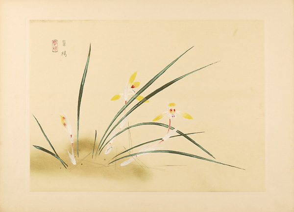 Yamaguchi kayo “from New Flowers-and-birds drawing”／