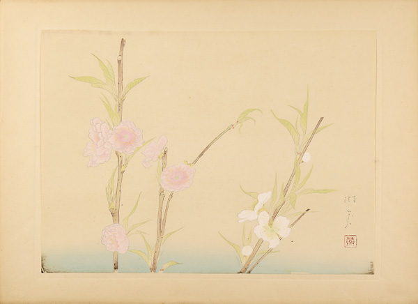 Tonouchi Misyo “from New Flowers-and-birds drawing”／