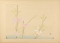 <strong>Tonouchi Misyo</strong><br>from New Flowers-and-birds dra......