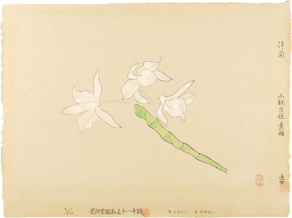 Kobayashi Kokei “Orchid”／