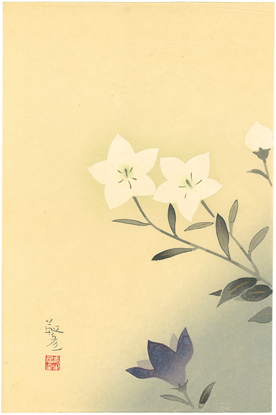 Yasuda Yukihiko “Chinese Bellflower (tentative title)”／