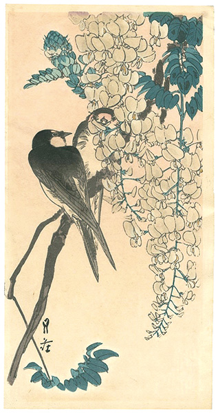  “Flowers and Birds Print(tentative title)”／