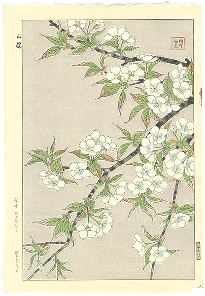 Kawarazaki Shodo “wild cherry blossoms”／
