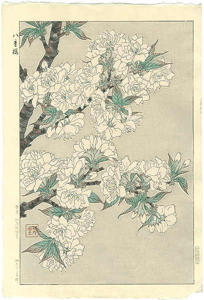 Kawarazaki Shodo “double cherry blossom”／