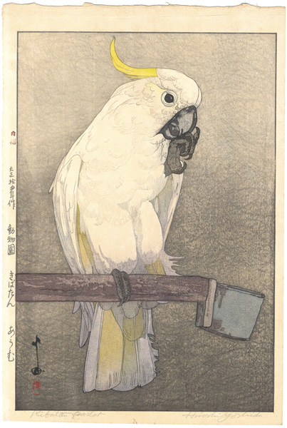 Yoshida Hiroshi “At the Zoological Garden / Sulphur-crested Cockatoo”／