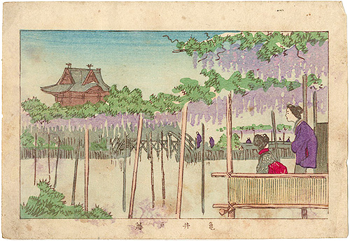 Yasuji,Tankei “True Pictures of Famous Places of Tokyo /  Wisteria of Kameido”／