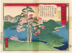 Hiroshige III/Sketches of Geographic Locations in Japan / Insba Province / Koyama no Ike[日本地誌略図　因幡国　湖山の池]
