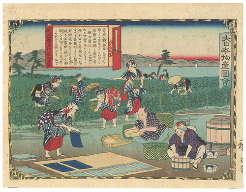 Hiroshige III “Pictorial Record of Japanese Products: Manufacturing Aobana-Paper, Ohmi Province ”／