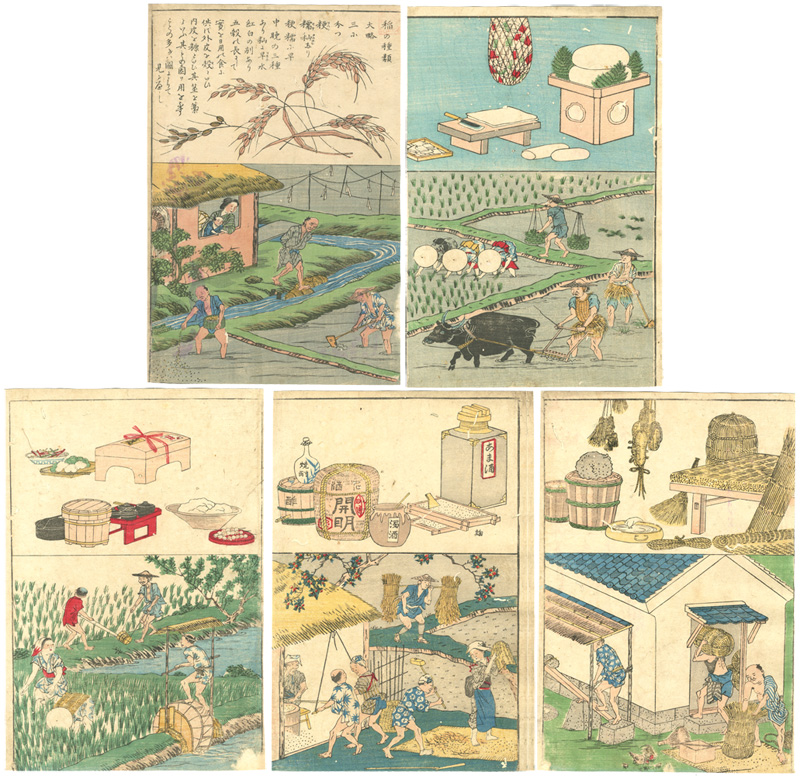 Kuniteru II “Educational Illustration Book, published by Ministry of Education: Rice Farming”／
