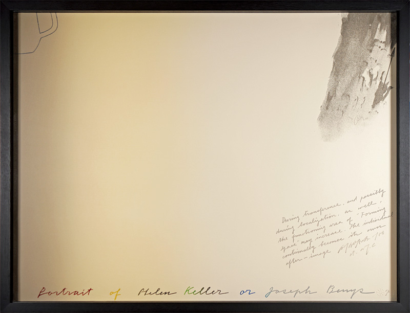 Arakawa Shusaku “Portrait of Helen Keller or Joseph Beuys”／