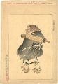 <strong>Shibata Zeshin</strong><br>Yamato News Paper Vol.1563