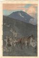 <strong>Yoshida Hiroshi</strong><br>Ten Views of Fuji / The Horse ......