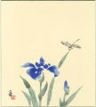 <strong>Tokuriki Tomikichiro</strong><br>Iris and Dragonfly(tentative t......