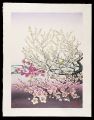 <strong>Yoshida Chizuko</strong><br>Shiai(Chrysanthemum, Lotus, Pl......