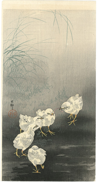 Ohara Koson (Shoson) “Chicks Fighting over a Worm”／