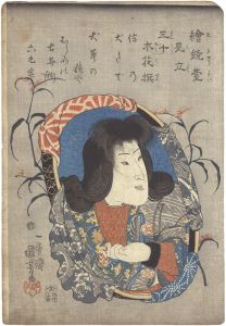 Kuniyoshi/Pictorial Mirror Stands Matched with Thirty Selected Flowers / Shino with Persicaria longiseta[絵鏡台見立三十木花撰　信乃 犬たで]