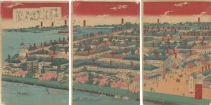Ikuhide/Famous Places of Tokyo / True View of Suzaki red light district[東京名所のうち　洲さき弁天町遊郭真けい]