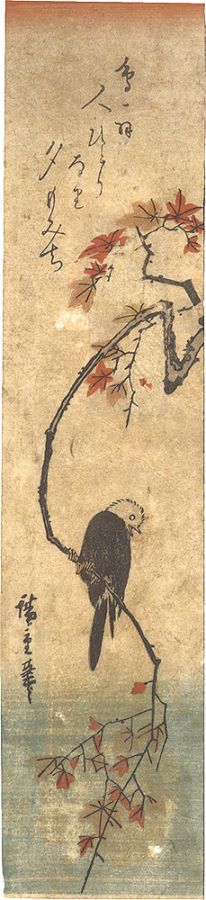 Hiroshige I “Bird and Maple (tentative title)”／