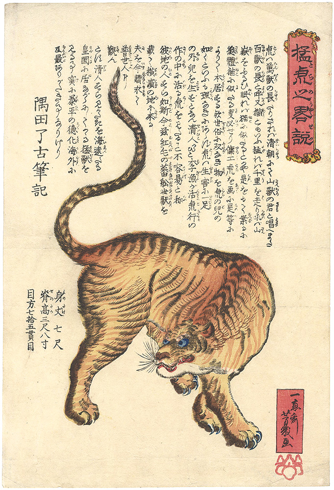Yoshiiku “General Description of Tiger”／