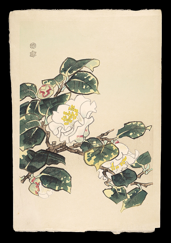 Kotozuka Eiichi “White Camellia”／
