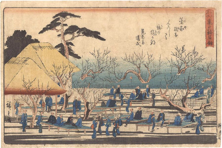 Hiroshige I “Famous Places in Edo / Plum Garden at Kameido”／