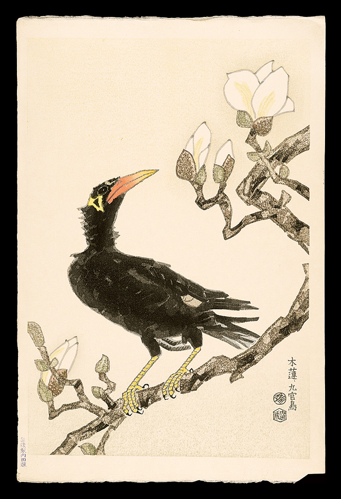 Kotozuka Eiichi “Magnolia and Myna Bird”／