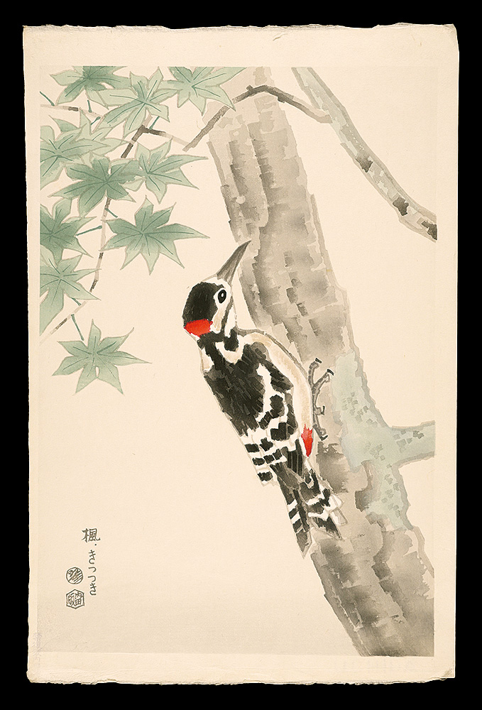 Kotozuka Eiichi “Maple and Woodpecker”／