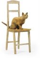 <strong>Shimada Koichiro</strong><br>Cat on The Chair
