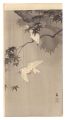 <strong>Ohara Koson (Shoson)</strong><br>Java Sparrows with Green Maple......