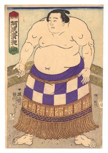 Kuniaki/Sumo-e / Onomatsu Wasuke from Himeji[相撲絵　姫路 阿武松和助]