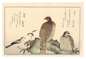Utamaro/Myriad Birds: A Kyoka Competition / Copper Pheasants and Wagtail 【Reproduction】[百千鳥狂歌合　山鳥 鶺鴒【復刻版】]