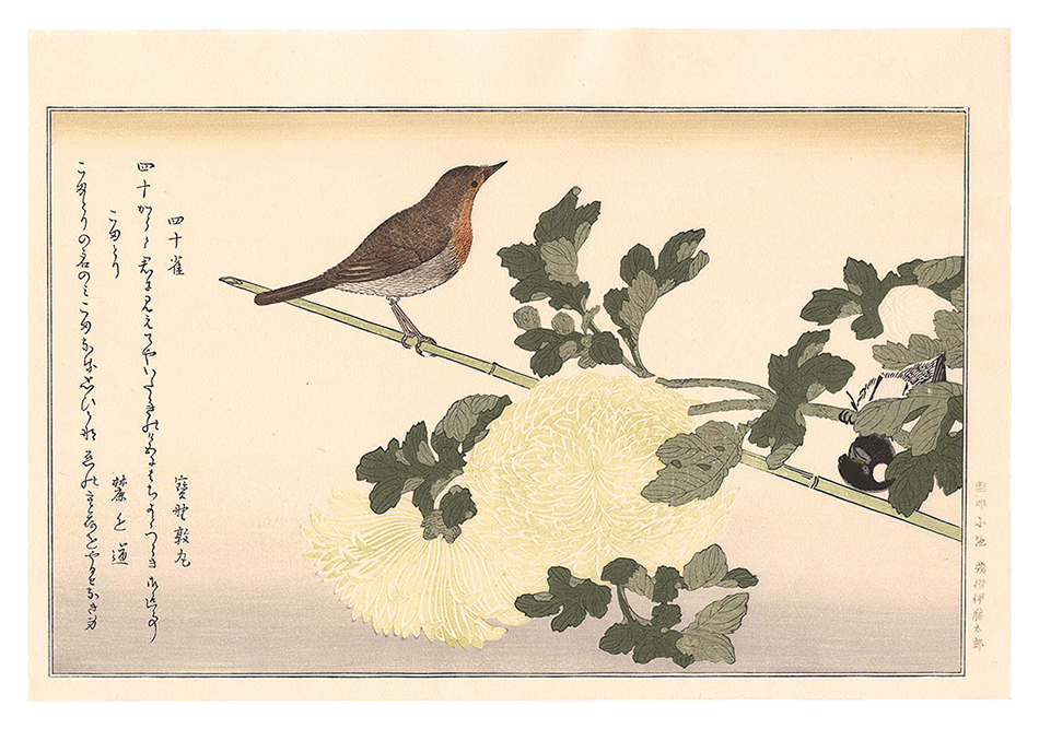 Utamaro “Myriad Birds: A Kyoka Competition / Manchurian Great Tit and Japanese Robin 【Reproduction】”／