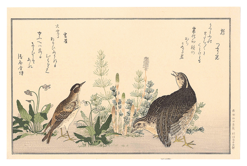 Utamaro “Myriad Birds: A Kyoka Competition / Quail and Skylark 【Reproduction】”／
