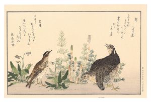 Utamaro/Myriad Birds: A Kyoka Competition / Quail and Skylark 【Reproduction】[百千鳥狂歌合　鶉 雲雀【復刻版】]