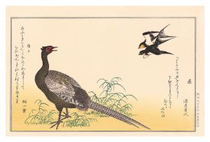 Utamaro/Myriad Birds: A Kyoka Competition / Swallows and Green Pheasant 【Reproduction】[百千鳥狂歌合　燕 雉子【復刻版】]