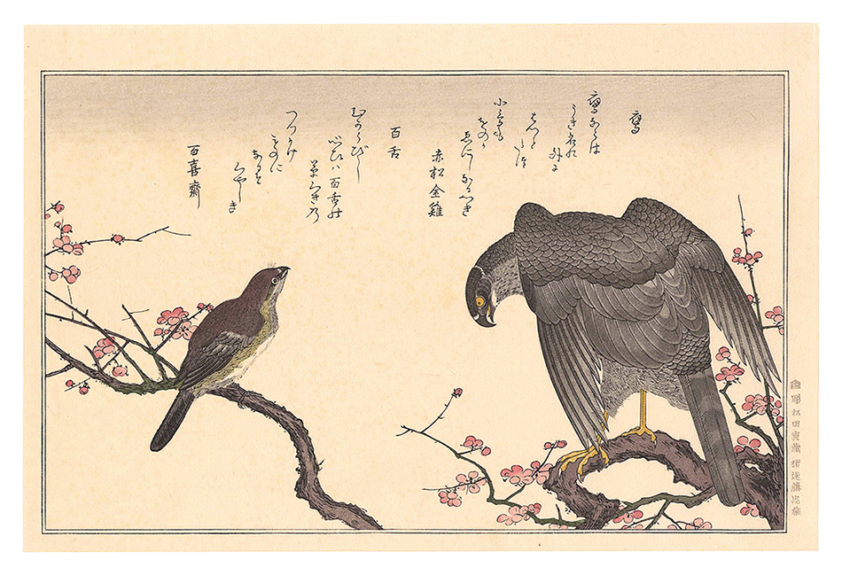 Utamaro “Myriad Birds: A Kyoka Competition / Falcon and Shrike 【Reproduction】”／