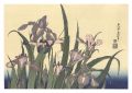 <strong>Hokusai</strong><br>Blossoming Irises and Grasshop......