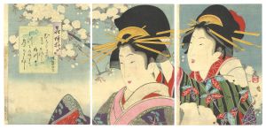 Kiyochika/Floral Patterns / The Bunka Era[花模様　文化ノ頃]