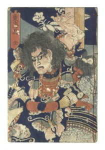 Sadahide/Pictorial Biographies of Heroes of the Tokaido[東海道英名画伝]