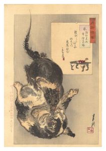 Gekko/Gekko's Miscellany / The Rat, the Black Stone of Mutsu Province, and the Cat of Jôkyô-ji Temple[月耕随筆　鼡 陸州黒石常教寺の猫]